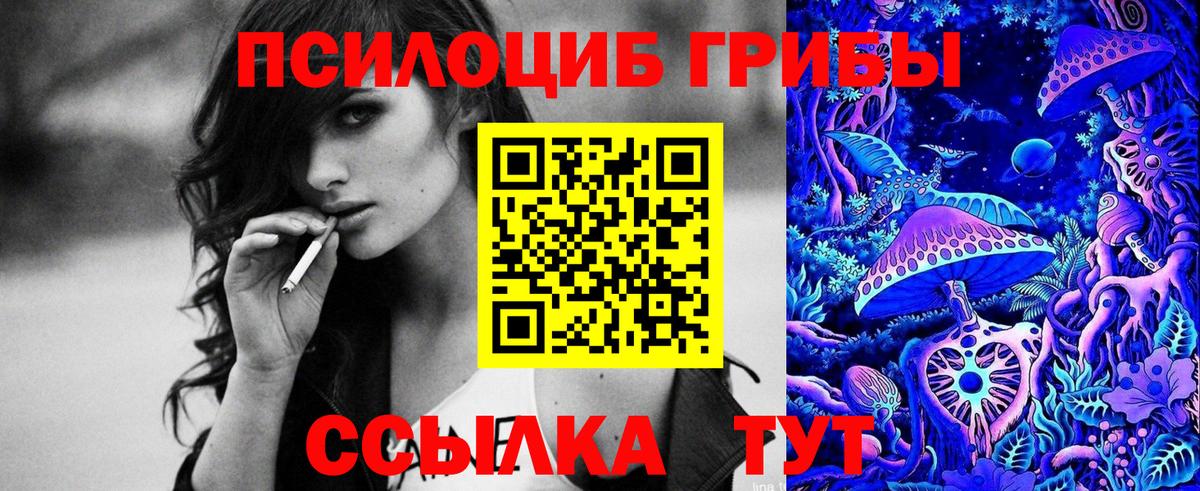 Галлюциногенные грибы Cubensis Самара