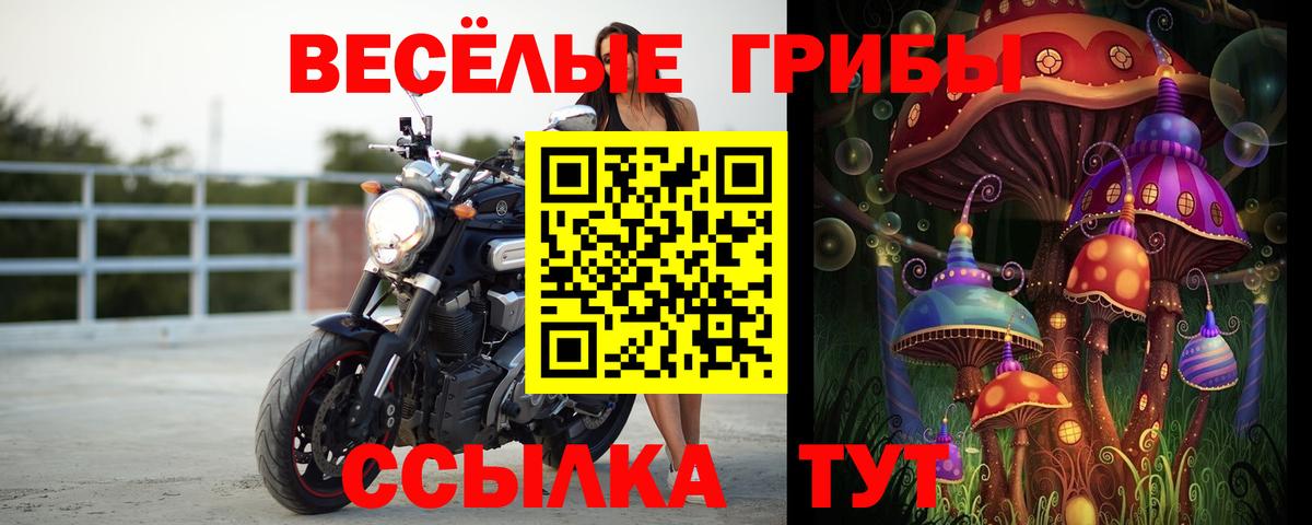 Псилоцибиновые грибы Psilocybine cubensis  Вход с VPN  Самара  Галлюциногенные грибы мухоморы 